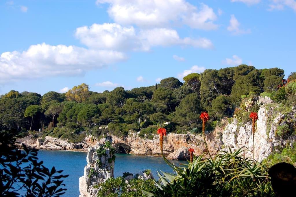 Ravissant Studio Au Coeur Du Vieil Antibes Esterno foto